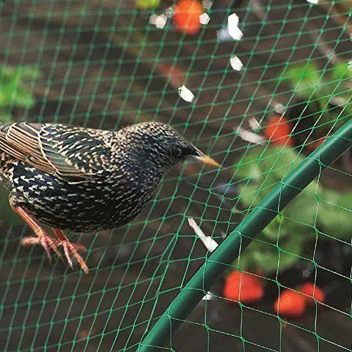 bird-protection-net
